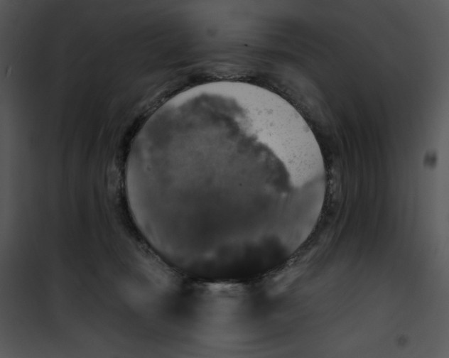 X0000100890371200807220957