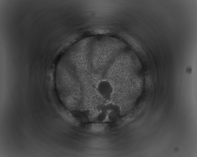 X0000100890373200807220957