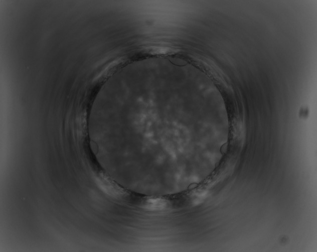 X0000100890376200807220957