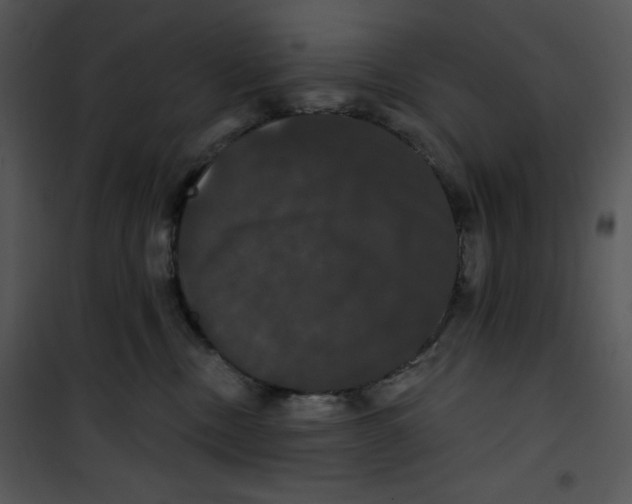 X0000100890378200807220957