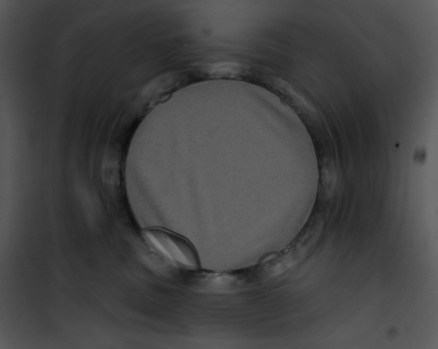 X0000100890379200807220957