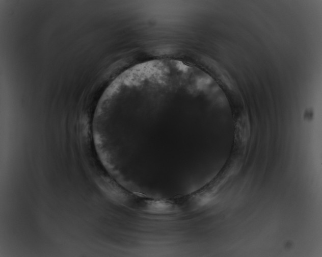 X0000100890380200807220957