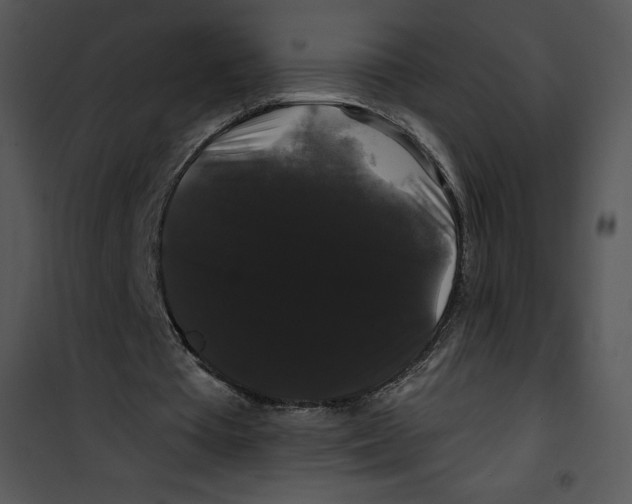 X0000100890385200807220956