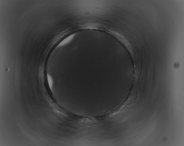 X0000100890386200807220956