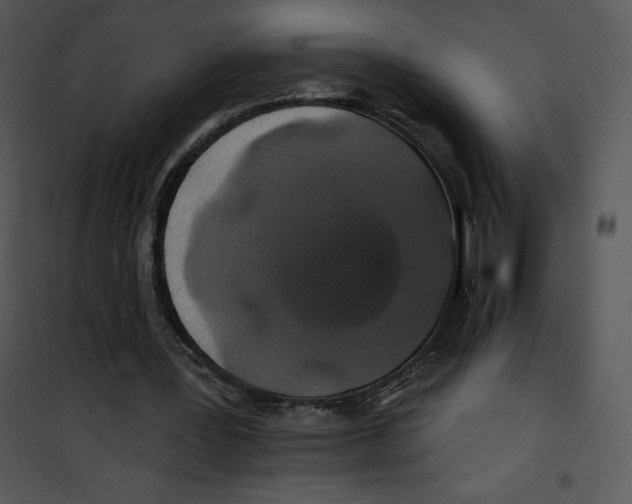 X0000100890387200807220956