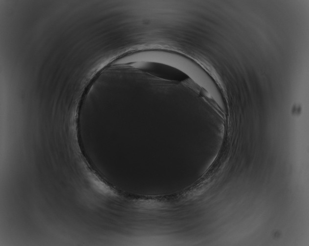 X0000100890389200807220956