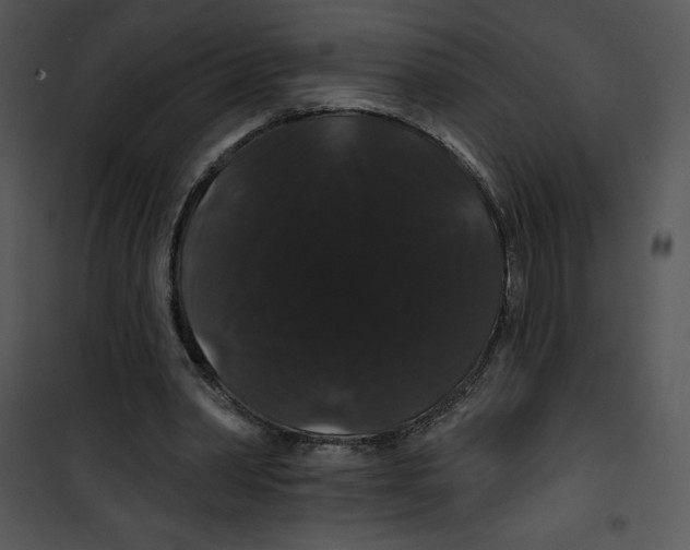 X0000100890390200807220956