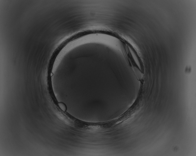 X0000100890391200807220956