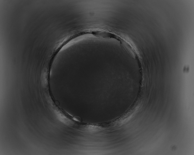 X0000100890393200807220956