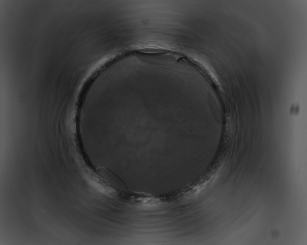 X0000100890395200807220956