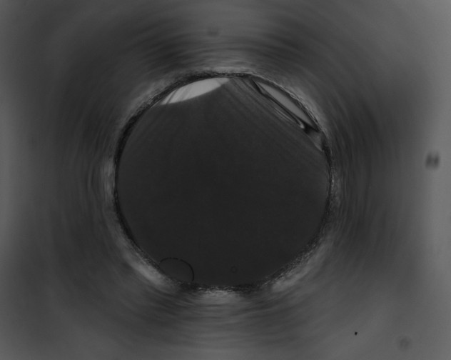 X0000100890397200807220956