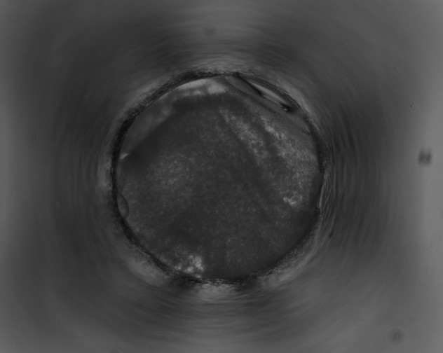 X0000100890403200807220956