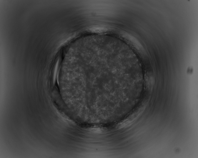 X0000100890404200807220956