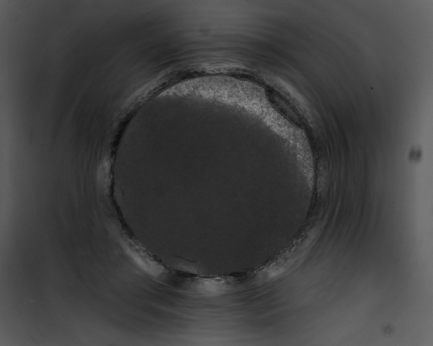 X0000100890405200807220956