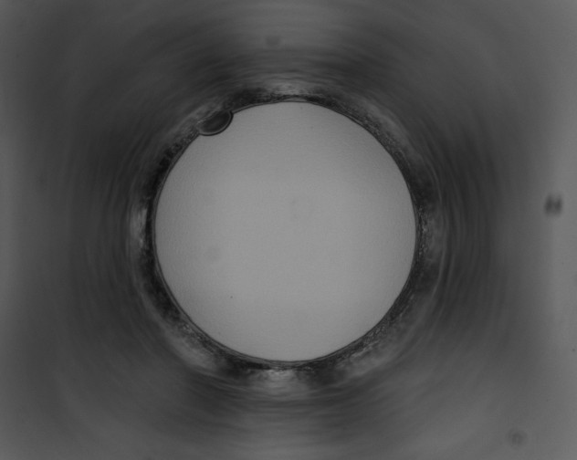 X0000100890406200807220956