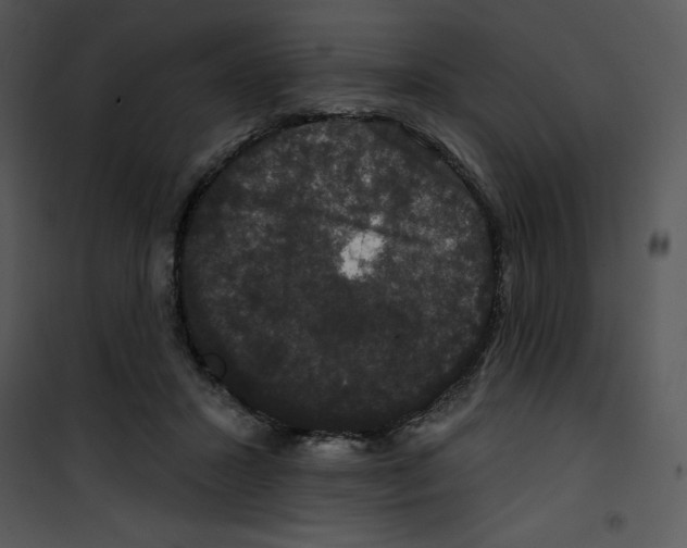 X0000100890407200807220956