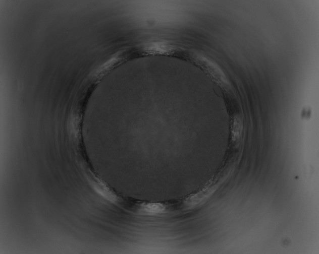 X0000100890409200807220956