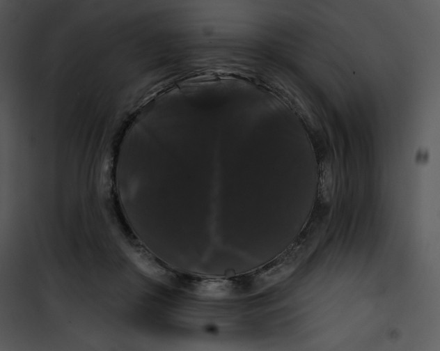 X0000100890410200807220956