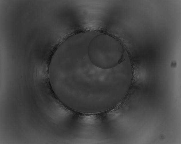 X0000100890411200807220956