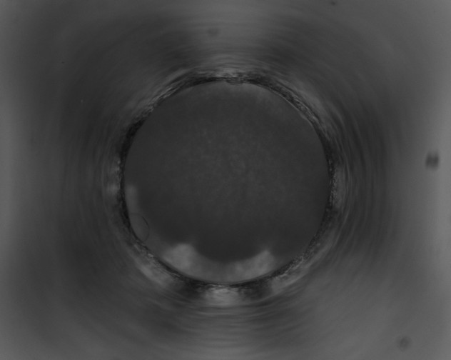 X0000100890413200807220956