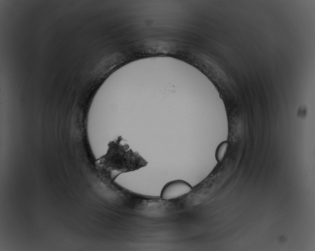 X0000100890414200807220956