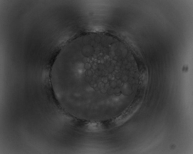 X0000100890415200807220956