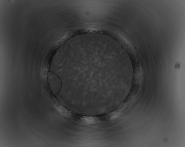 X0000100890417200807220956