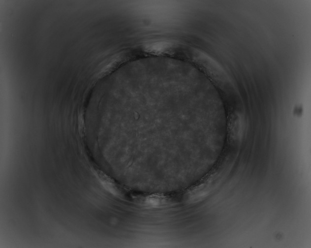 X0000100890420200807220956