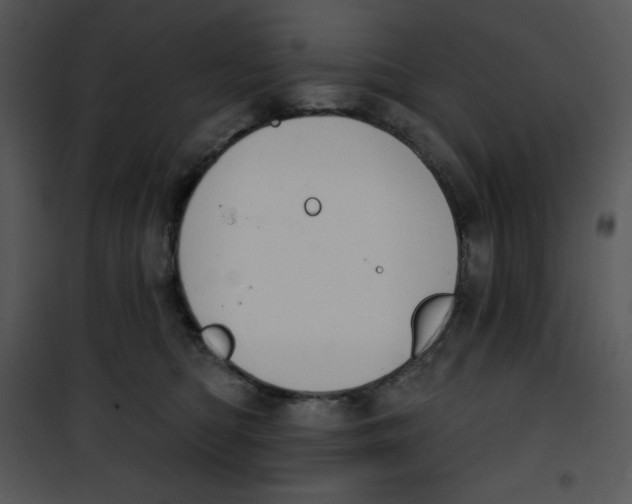 X0000100890422200807220956