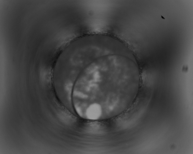 X0000100890423200807220956