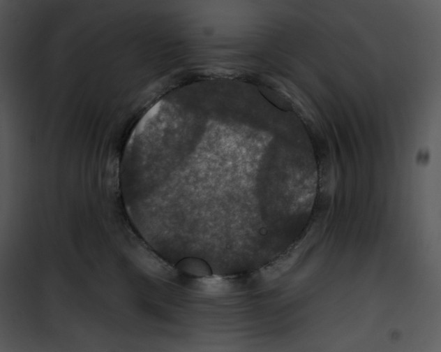 X0000100890425200807220956