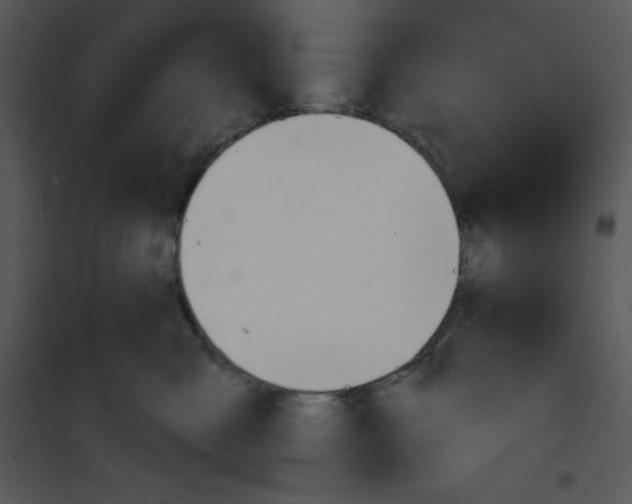 X0000100890427200807220956