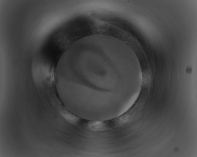 X0000100890431200807220956