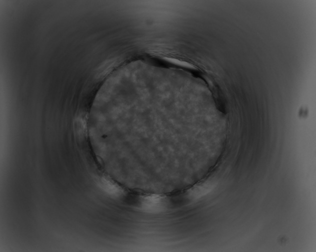 X0000100890432200807220956