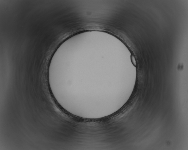 X0000100890433200807220955