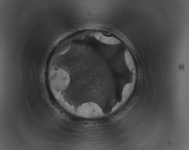 X0000100890434200807220955