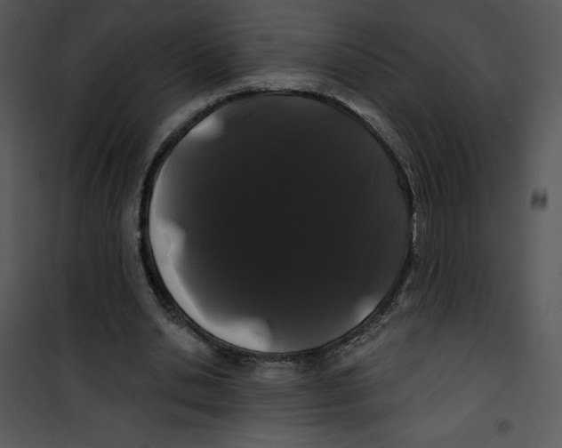 X0000100890438200807220955