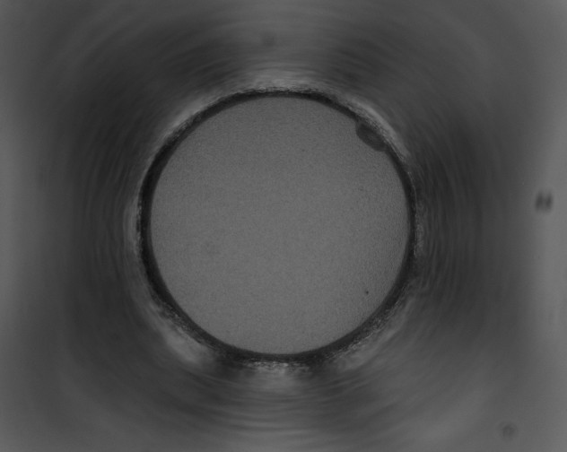 X0000100890439200807220955