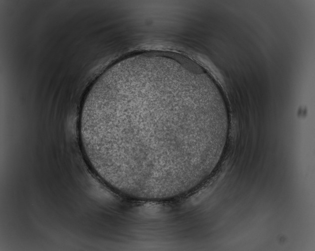 X0000100890441200807220955