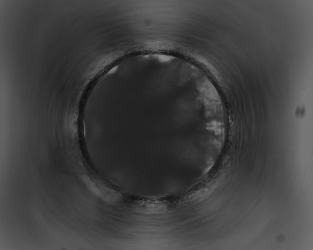 X0000100890443200807220955