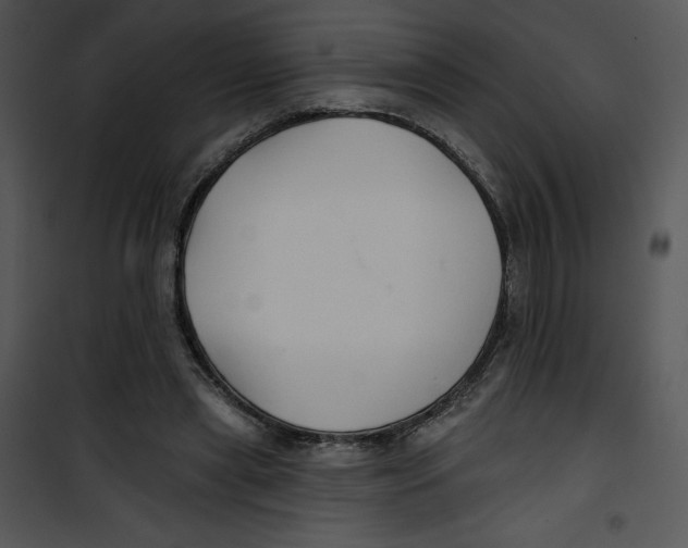 X0000100890445200807220955