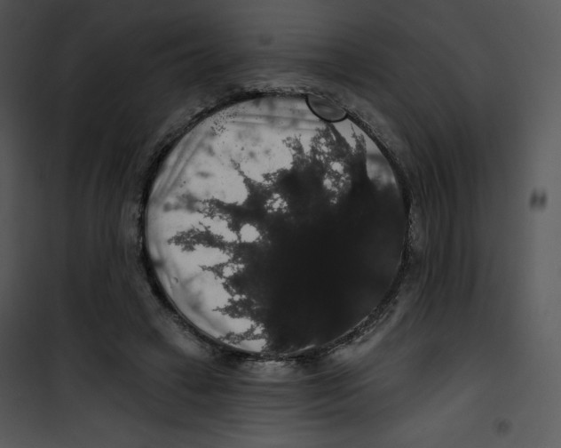 X0000100890449200807220955