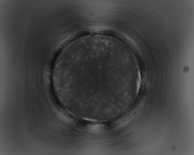 X0000100890452200807220955