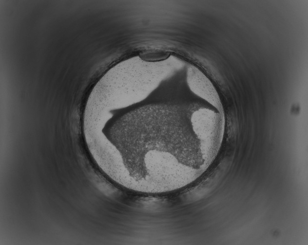 X0000100890453200807220955