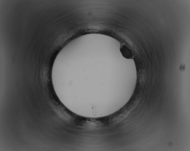 X0000100890455200807220955