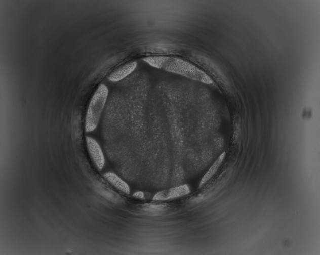 X0000100890457200807220955