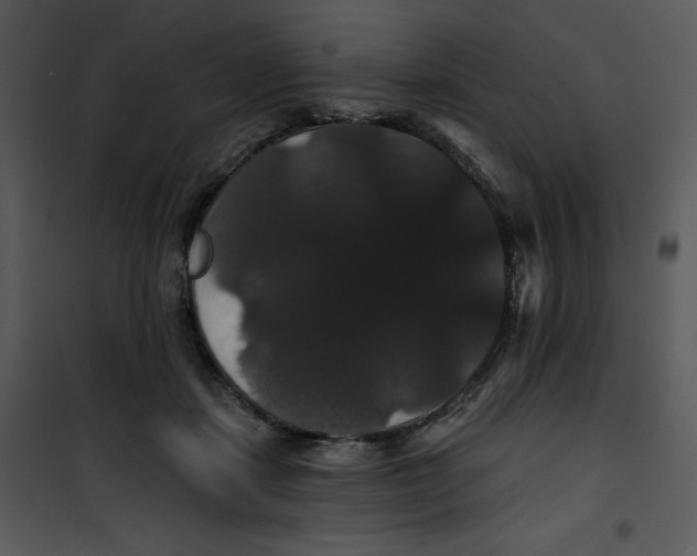 X0000100890459200807220955