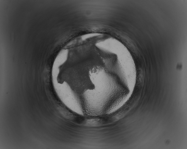 X0000100890461200807220955