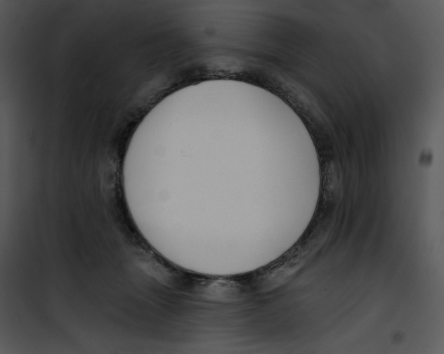 X0000100890463200807220955