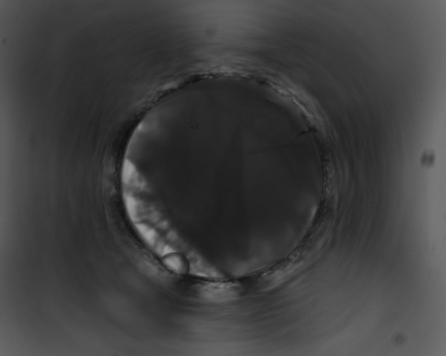 X0000100890465200807220955